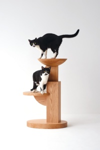 高さ90cmのネコ用家具（資料：飛騨産業）