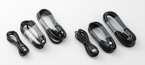 3種類のケーブルが2本ずつ付属する。接続に必要なケーブルがすべて付属するので親切だ