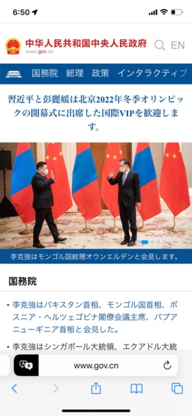 Webページ上の中国語のテキストが日本語に翻訳された