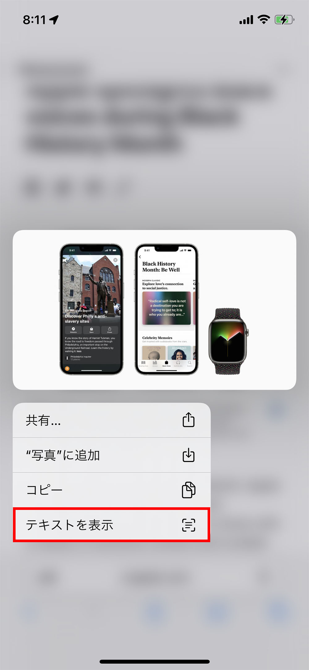 画像を長押しして表示されたメニューで「テキストを表示」をタップする（赤い枠は筆者が付けた）