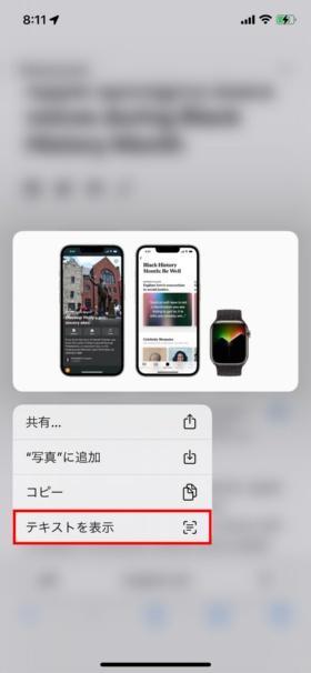画像を長押しして表示されたメニューで「テキストを表示」をタップする(赤い枠は筆者が付けた)