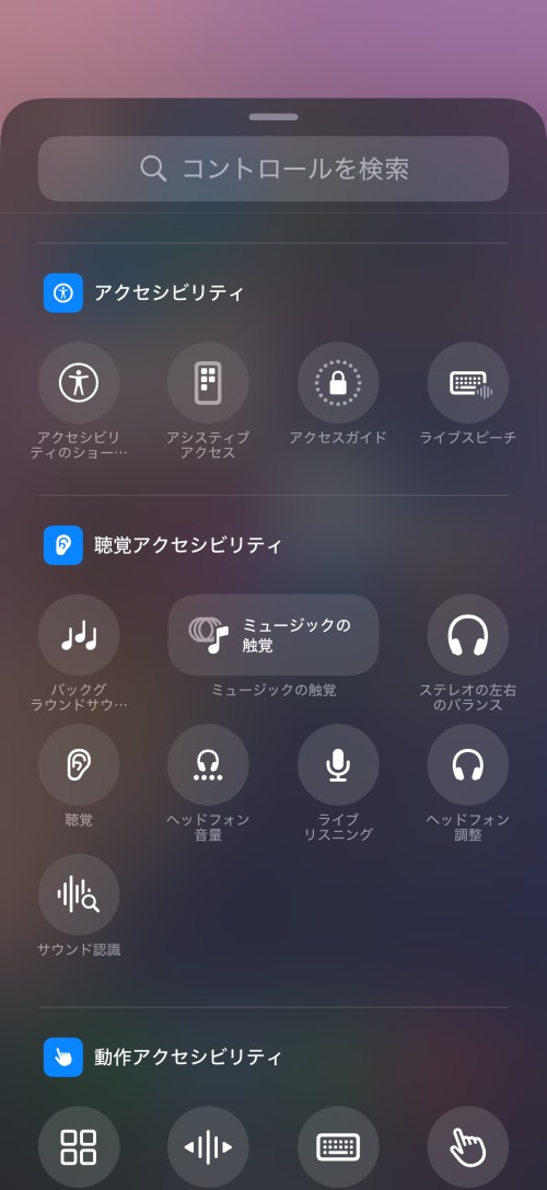 アクセシビリティー関連のコントロールが多数用意されている