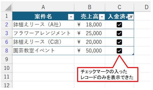 チェックマークの入ったレコードのみを表示できた