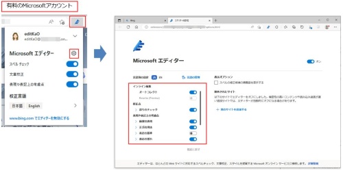 画面は有料のMicrosoft 365 Business StandardプランのMicrosoftアカウントでサインインした画面。歯車アイコンをクリックして表示される設定画面で詳細を確認できる