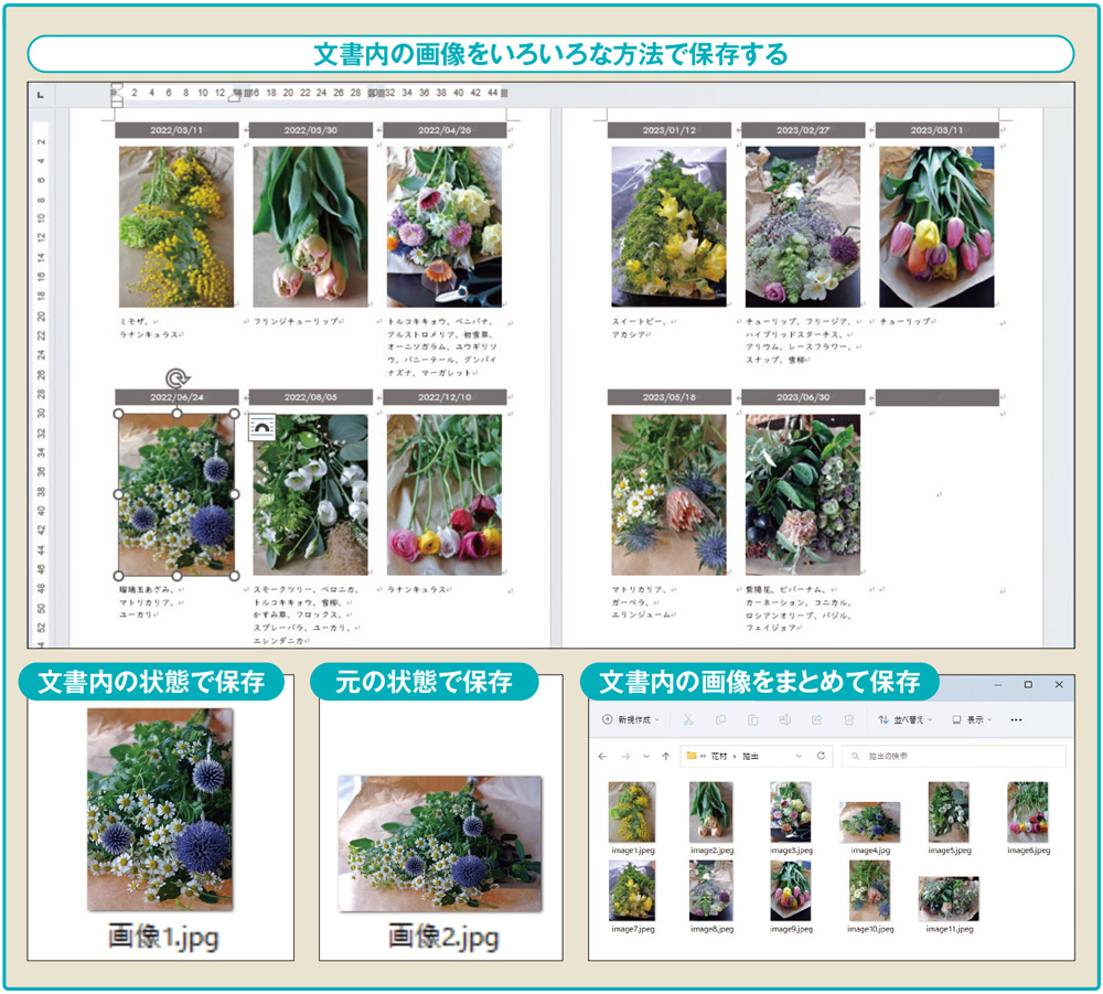 図1 Wordの文書内に挿入した画像は、独立した画像ファイルとして保存できる。元の画像ファイルを紛失したときなどにも安心だ。いろいろな保存方法があるので、用途に応じて使い分けよう