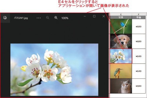 図6●関連付けられたアプリケーションで元画像が表示された