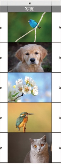 図9●リンクした画像がなくても画像が表示された