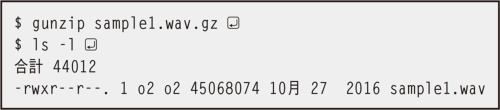 図4 gz形式の圧縮ファイルを解凍する「gunzip」コマンドの実行例