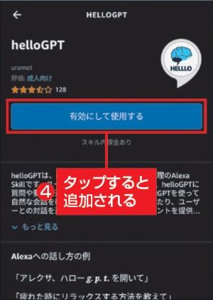 図C 有効にするとEcho Dotで質問ができる