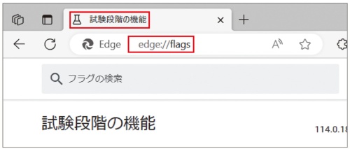 隠し設定へのアクセスも