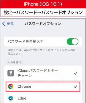 図2 iOSでは、標準の「iCloudパスワードとキーチェーン」とほかのアプリ1つを自動入力に併用できる