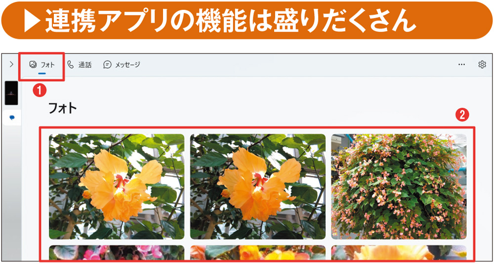 写真の閲覧やダウンロード（Androidのみ）