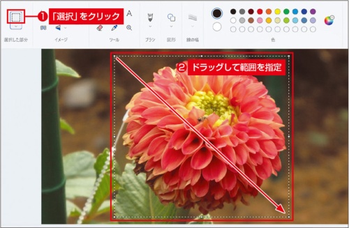 図1 ツールバーの「選択」をクリックし、写真上でドラッグして範囲を決める。範囲外をクリックすれば、選択をやり直せる