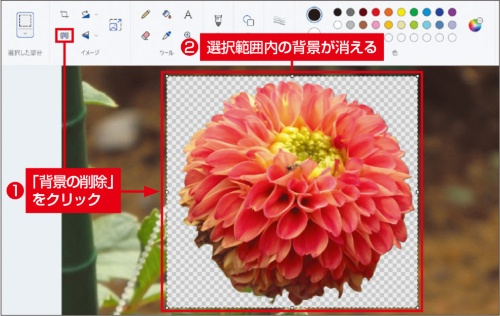 図2 範囲を選択してから「背景の削除」をクリックすると、その範囲内だけ背景が削除される