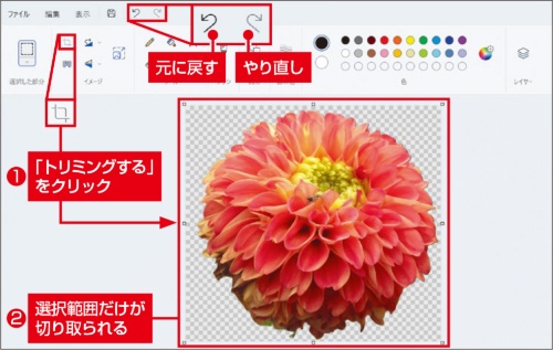 図3 続けて「トリミングする」をクリックすると、選択範囲だけの画像になる。「元に戻す」や「やり直し」の機能も活用しよう