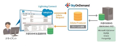 SkyOnDemandで利用可能なSalesforce.comのLightning connect機能の概要（出典：テラスカイ）